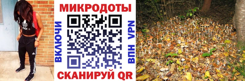 как найти наркотики  Ветлуга  Псилоцибиновые грибы мухоморы 