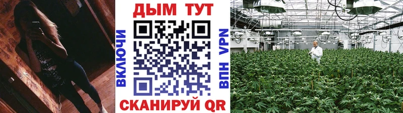 Бошки марихуана планчик Ветлуга